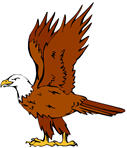 eagle