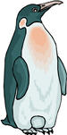 penguin