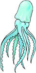 squid