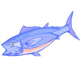 tuna