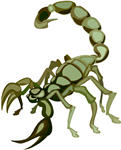 scorpion