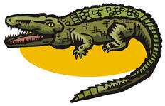 crocodile