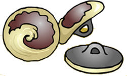 buttons