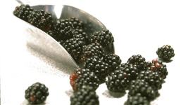 blackberries