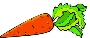 carrot