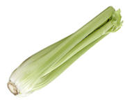 celery