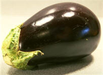 eggplant