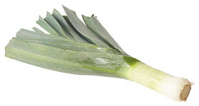 leek