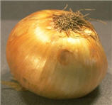 onion