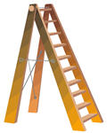 ladder