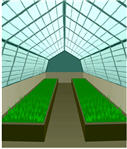 greenhouse