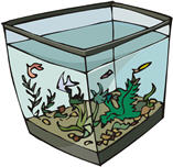 aquarium