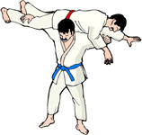 judo